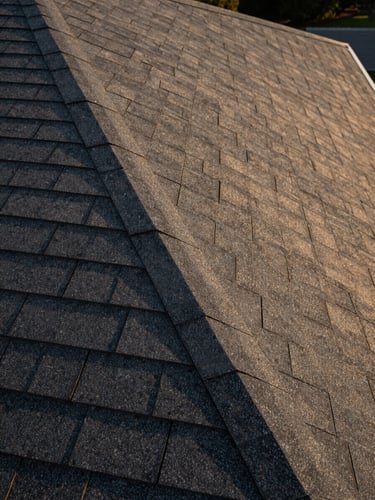Overhead close-up shot of a completed composite shingle roof surface in warm golden afternoon light, precise overlapping rows of dark grey panels, no people visible