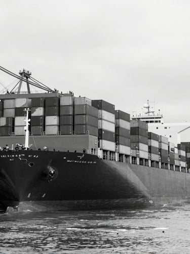 Black and white industrial photography of massive container ships stacked with cargo at a deep water port, high-contrast overcast light