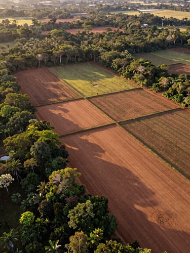 Vista aérea de drone revelando demarcação precisa de lotes de terra cercados por floresta nativa no Pará, solo de argila rica sob luz dourada do fim de tarde, linhas limpas e organizadas