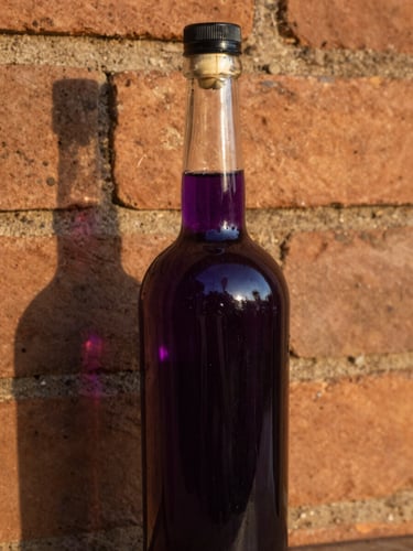 A close-up of a traditional glass bottle of artisanal jabuticaba liqueur, glowing dark purple against a rustic clay brick wall in Sabará, golden hour light