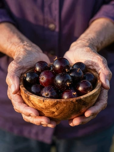 Close-up of an elderly woman's hands gently holding dark, glossy jabuticabas in a rustic wooden bowl, warm late afternoon sun casting soft golden shadows, 35mm photography