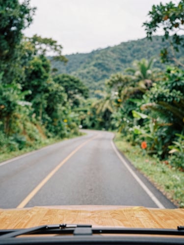 First-person perspective from inside an open-air 4x4 vehicle navigating a winding green mountain road in Puerto Rico, lush tropical foliage, bright natural daylight, 35mm lens, shallow depth of field