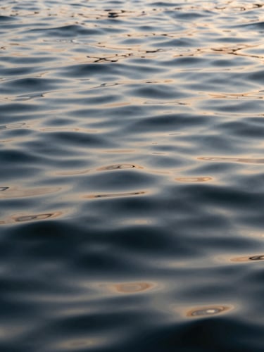 Rippling water surface with soft morning light reflections, calm and abstract natural texture.