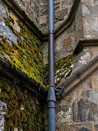 A sharp split before-and-after shot of a deep lead valley gutter on a stone building, heavily choked with green moss on the left, completely cleared, clean, and dry on the right.
