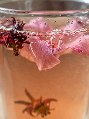 Macro shot of bubbling pink hibiscus kombucha in a clear glass, condensation dripping, warm natural sunlight, rich organic textures, 35mm