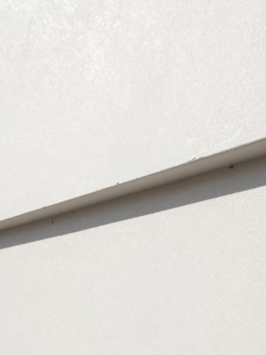Close-up architectural shot of a perfectly smooth drywall joint, natural light grazing the flat plaster surface, sharp focus, 35mm lens