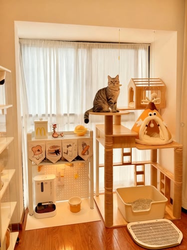 Organized cat zone with litter box, cat tree, storage shelf and resting areas in a warm small apartm