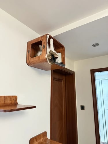 Pet-friendly outdoor living space with comfortable furniture, cozy atmosphere and stylish Scandinavian-inspired design.