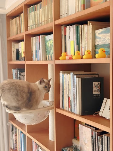 Bookshelf-style cat furniture with a cat resting on a shelf, combining storage, climbing space and h