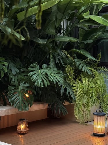 Comfortable garden retreat with outdoor seating, natural greenery, ambient lighting and cozy outdoor