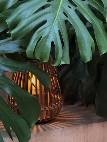 Comfortable garden retreat with outdoor seating, natural greenery, ambient lighting and cozy outdoor