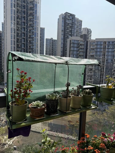 Urban small balcony with layered greenery, compact furniture, and cozy outdoor styling for everyday relaxation.