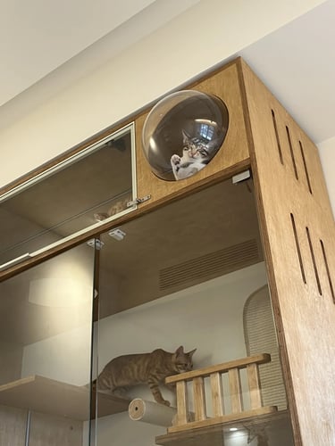 Pet-friendly outdoor living space with comfortable furniture, cozy atmosphere and stylish Scandinavi