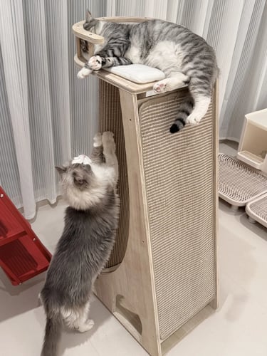 Two cats using a tall wooden scratching tower with woven panels, soft perch and compact vertical design.