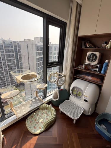 Small apartment window area with cat perches, pet beds and compact cat furniture arranged for climbi
