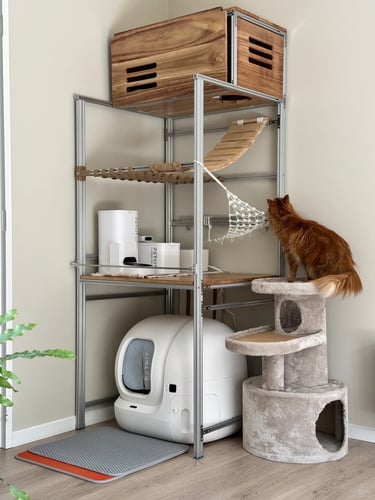 Small apartment cat furniture setup with litter box area, climbing shelf, hammock and cat tree arran