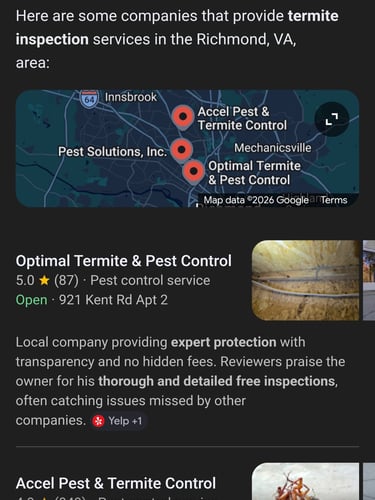 screenshot of Google AI recommending a clients pest control business in search results