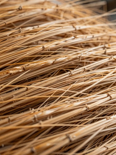 Macro shot of high-tensile coir fiber showing dry, golden-brown consistency and uniform texture under bright industrial daylight.