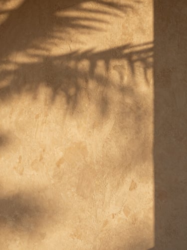 Close-up of hand-cast lime plaster wall with soft golden hour shadows, showing rich organic texture and warm earthy tones, medium format film.