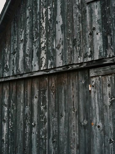 Close-up detail of weathered vertical dark wood siding on an old Maryland barn, soft overcast light, desaturated tones, 35mm lens.