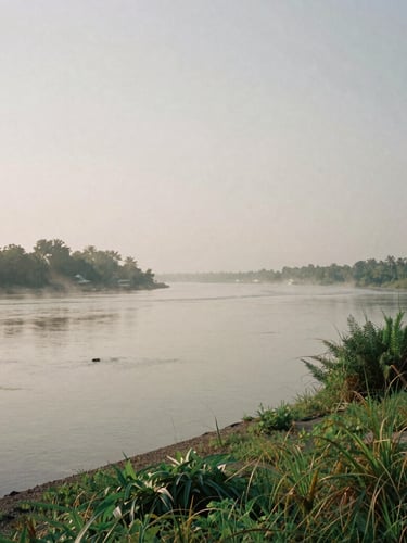 Wide environmental landscape of a quiet river shoreline in Southern Maryland at early morning mist, soft overcast coastal daylight, desaturated earth tones, muted greens and grays, documentary film photography, 35mm lens