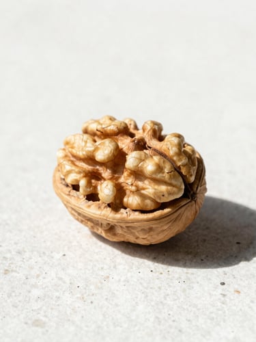 Extreme close-up of a single cracked walnut on a textured white stone surface, harsh direct sunlight, sharp shadows, raw earth tones