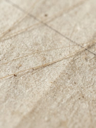 Extreme macro photograph of 18th-century deckled paper fibers under raking light, showing the tactile texture of the rag substrate and faint ink lines.