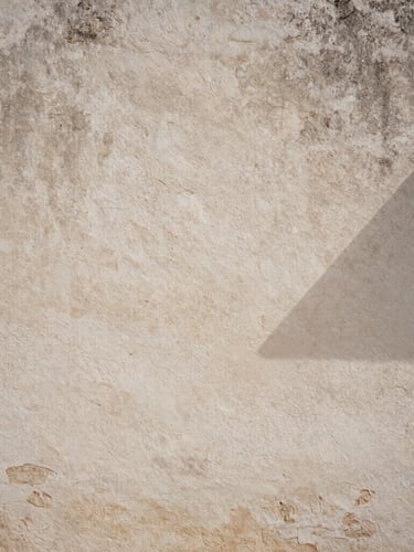 Close-up of a textured lime-washed wall in an ancient masseria in Puglia, soft diffused natural light, shadows casting geometric patterns, desaturated warm stone tones, 35mm film grain.