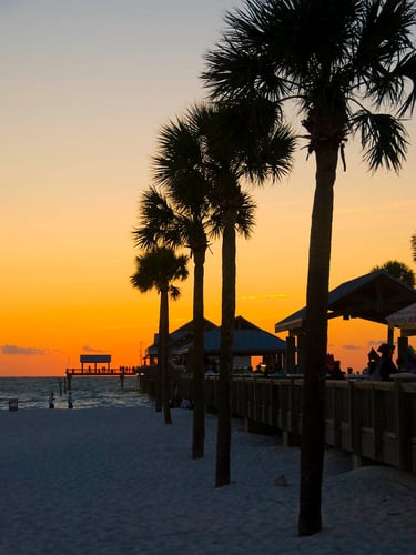 sunset at pier 60 in Clearwater beach