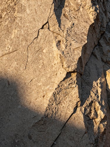 A vertical portrait of raw textured Lioz limestone, sharp low-angle golden hour shadow, architectural detail.