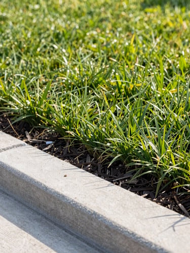 Close-up detail of a sharp concrete lawn edge with clean dark mulch and vibrant green turfgrass, crisp morning shadows, professional landscaping work, 35mm.