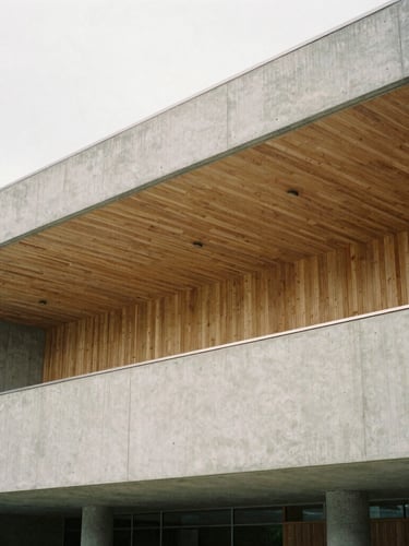 Architectural detail of a modern concrete and timber community hall, soft natural overcast daylight, clean lines, 35mm film grain