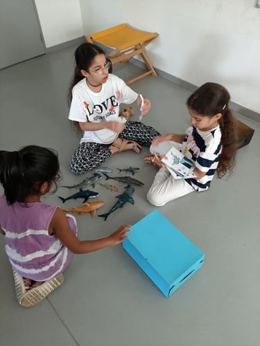 3 enfants des quartiers prioritaires qui regardent la boite à requins