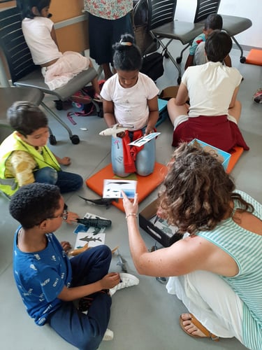 des enfants du CLAS regardant des cartes de requins
