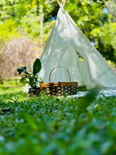 Atrações Rancho Famiglia Nonna