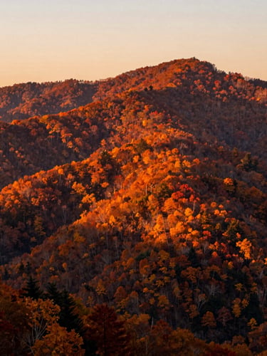 A wide panoramic view of the Great Smoky Mountains during autumn, vibrant orange and deep red foliage blanketing the ridges under a soft twilight sky