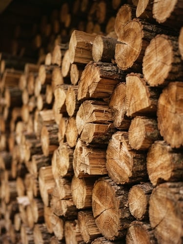 Straight-on, structured composition of clean-cut, neatly stacked oak logs showing dry wood grain and texture, warm natural daylight, shallow depth of field
