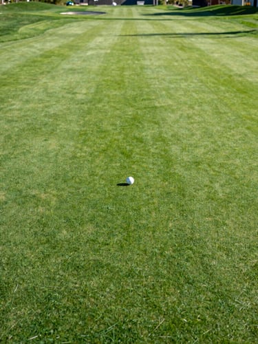 Wide environmental shot of a beautifully manicured putting green in Herriman, Utah, crisp morning daylight, long shadows, 35mm