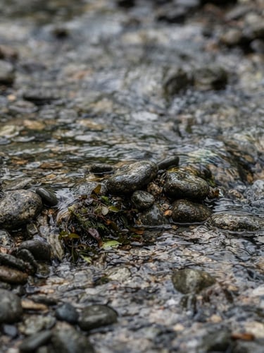 Macro photography of a clean Brazilian stream bed, crystal clear water flowing over smooth dark pebbles, natural overcast daylight, high detail, shallow depth of field