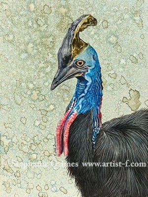 Detailed Ink painting of a Southern Cassowary bird with a blue neck and tall casque.