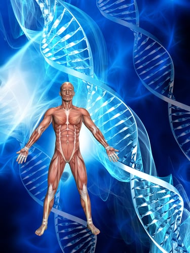Genetics & Health, Nutrigenomics