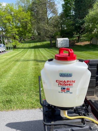 Lawn Fertilization and lawn weed control services