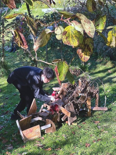 current situation ikebana performance at Crossbreeds Cracks Currents PF25 Dornach Extension Exhibition