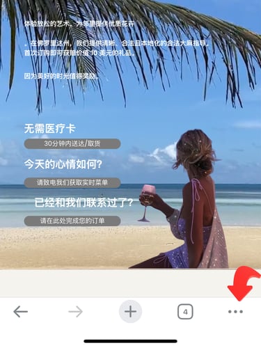 Chrome 谷歌 花邻