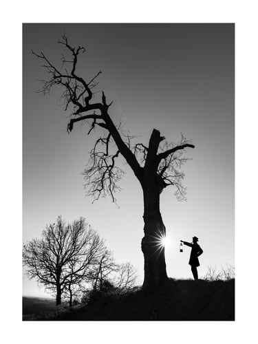 L'Arbre Magique - Mon Oncle