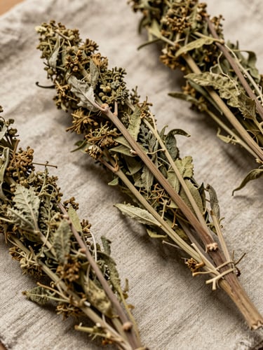 Overhead close-up of dried herb bundles arranged on aged linen cloth, diffuse north-light studio illumination, stems and dried leaf textures sharply rendered, earthy sage and ochre tones, no hands visible, documentary botanical specimen framing
