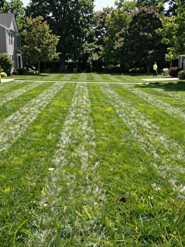 Wide portrait of a perfectly striped residential lawn in Southeast Michigan, bright morning sunlight, sharp focus, with a glimpse of a clean, uniform crew member in the background, 35mm.