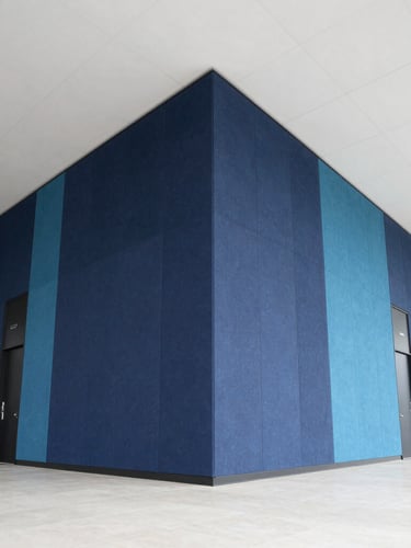 Wide-angle architectural photograph of a modern commercial office interior with crisp acoustic wall panels and clean suspended ceiling grids, bright daylight, professional corporate aesthetic