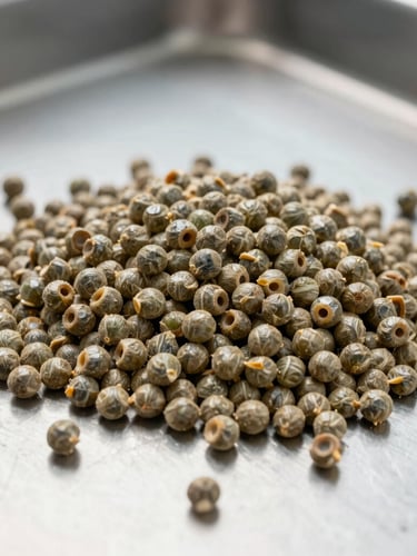 A macro close-up of high-quality feed pellets on a clean stainless steel surface, bright daylight, industrial precision, sharp focus