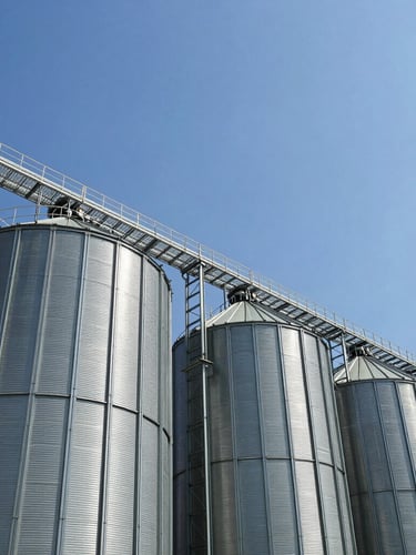 Wide-angle architectural shot of modern stainless steel grain silos rising into a crisp blue sky, sharp industrial precision, bright daylight, 35mm lens.